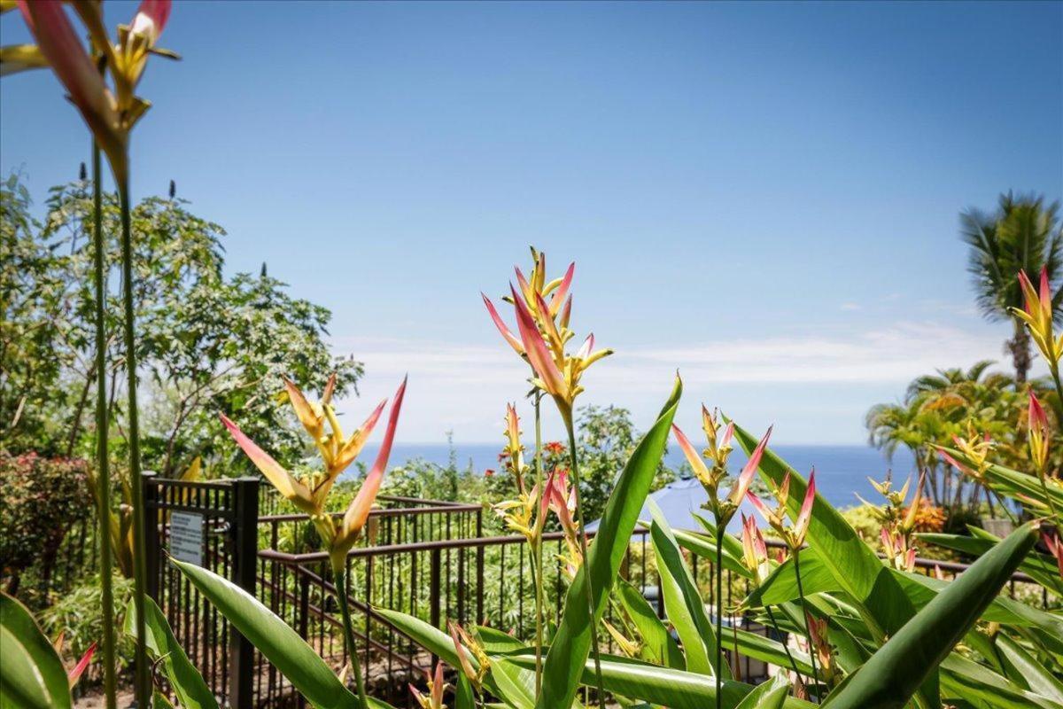 Kona Westwind 1 New! Quiet Ocean-View 1St Floor | Patio | Pool Vila Kailua-Kona Exterior foto