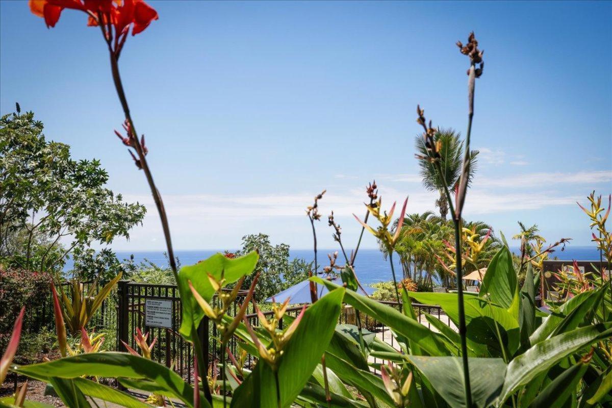 Kona Westwind 1 New! Quiet Ocean-View 1St Floor | Patio | Pool Vila Kailua-Kona Exterior foto